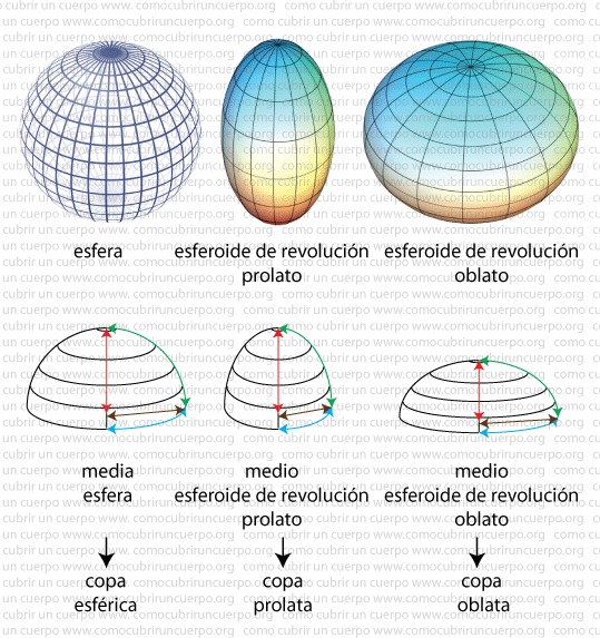 Comparación entre esfera, esferoide de revolución prolato y esferoide de revolución oblato, junto con sus correspondientes medias formas y tipologías de copa de seno.