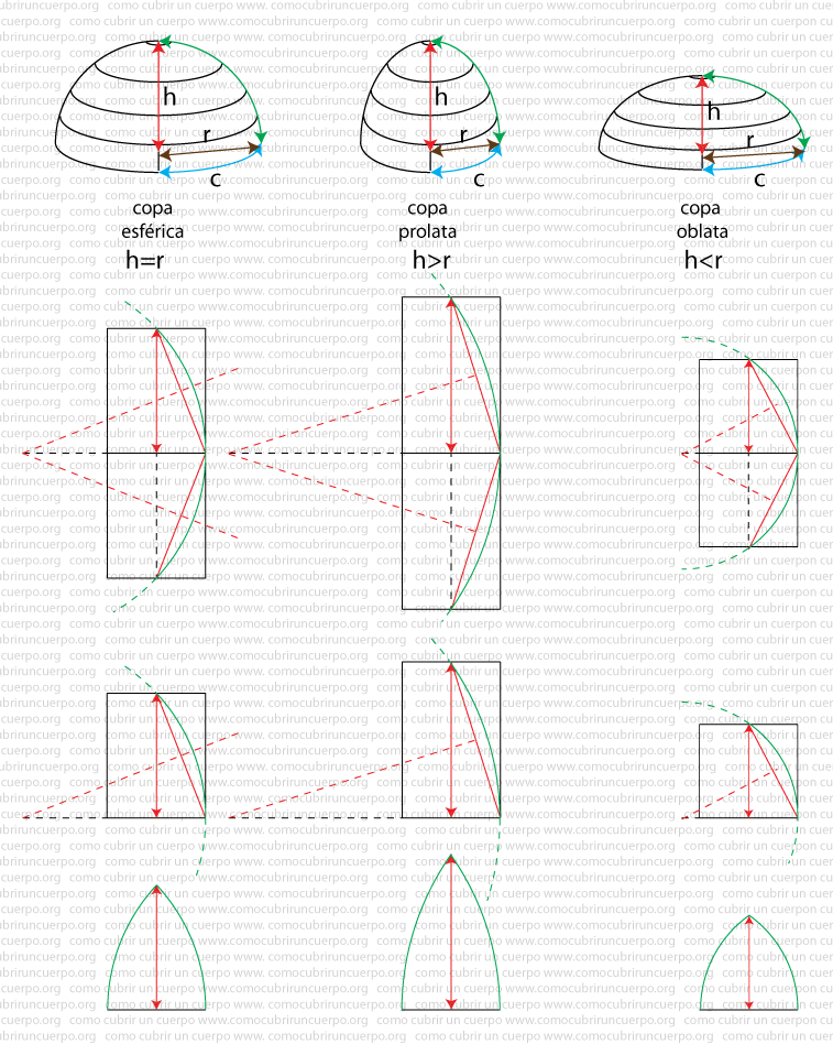 Esquema comparativo de copa esférica, copa prolata y copa oblata mostrando diferencias en altura h y radio r y su desarrollo en gajos.