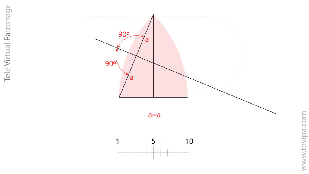 Construcción geométrica del arco lateral del gajo uniendo la cúspide con la base y trazando una perpendicular en el punto medio