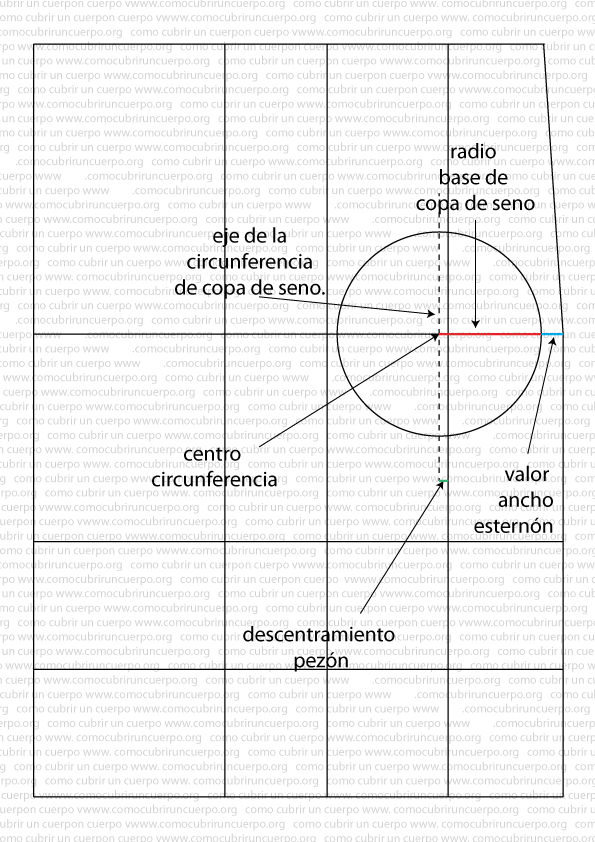 Trazado del radio y circunferencia base de copa en el patrón del corsé con copas separadas, partiendo de la mitad del ancho del esternón sobre la línea de pecho.