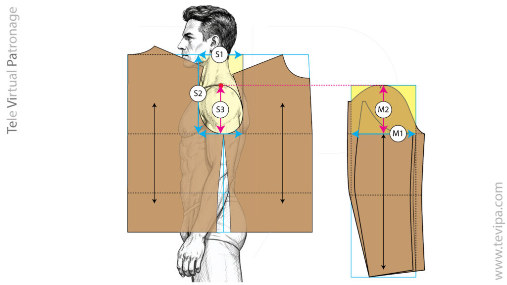 Relación entre medidas del cuerpo y estructura del patrón de cazadora con referencias de sisa y manga