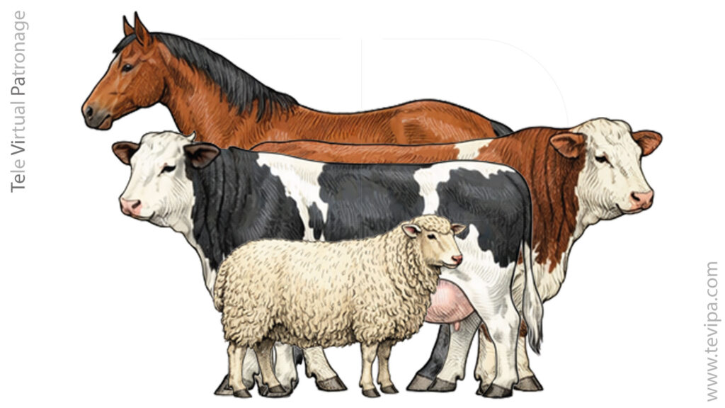 Caballo, vaca y oveja representando los materiales de cuero utilizados en cazadoras biker